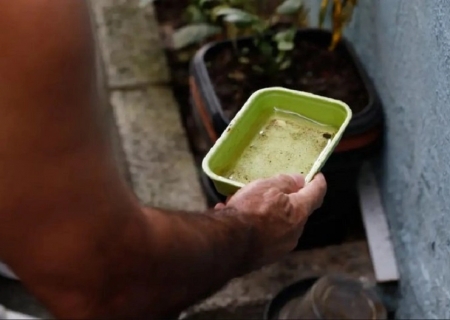 LIRAa aponta alto risco para Aedes em municípios de MS