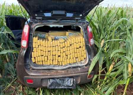 PRF apreende quase duas toneladas de maconha em ações distintas em Sidrolândia e Maracaju