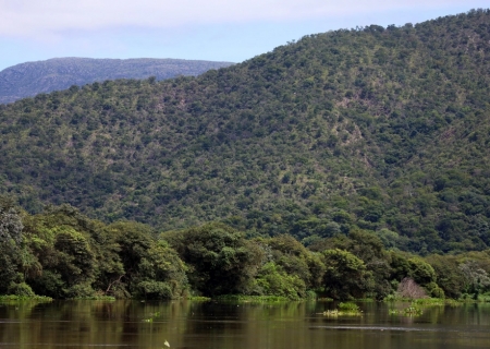 Para preservar o Pantanal, produtores rurais têm ações de conservação remuneradas por programa do Governo de MS
