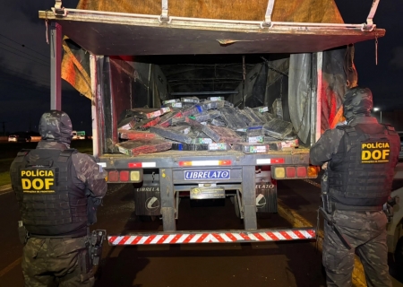 DOF apreende mais de duas toneladas de maconha escondidas em carga de milho