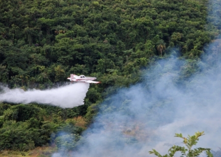 Bombeiros fazem queima prescrita para prevenir incêndios