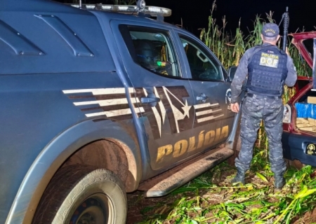 DOF apreende veículo com quase 400 kg de maconha em milharal