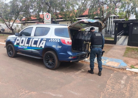 Confusões e agressões mobilizam a Polícia Militar em Ivinhema e Amandina