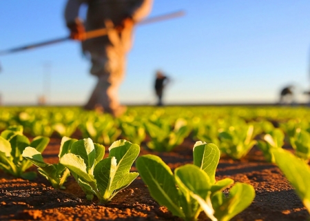 Vereadores propõem isenção da taxa do SIM para pequenos produtores em Nova Andradina
