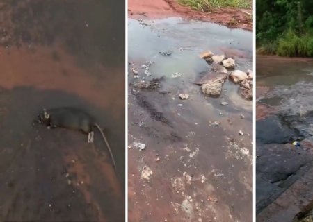 Esgoto a céu aberto revolta moradores e expõe falhas no saneamento em Nova Andradina