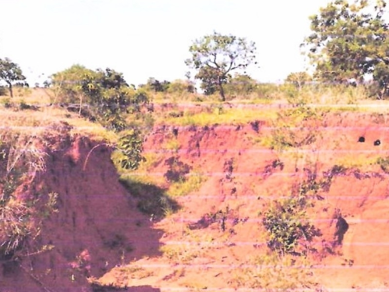 MP acompanha caso de degradação do solo identificado em propriedade rural de Santa Rita do Pardo