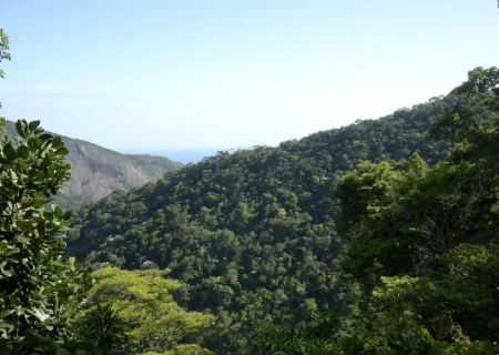Plano mobiliza R$ 500 bi para financiamento sustentável no Brasil
