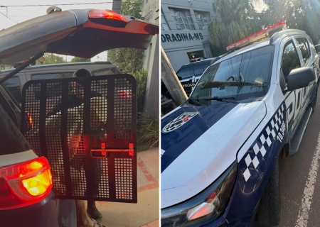 TJMS revoga liberdade provisória e decreta prisão de quatro investigados da 'Operação Liberdade Duradoura'