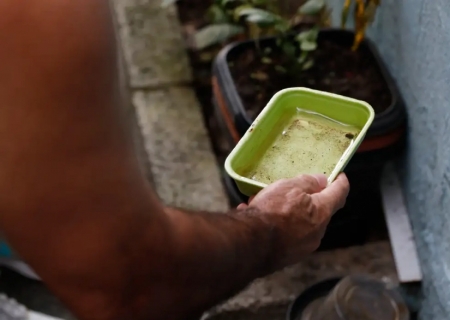 El Niño pode aumentar casos de chikungunya e dengue no Brasil