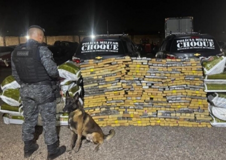 Cão farejador encontra bunker com 1,2 tonelada de maconha escondida em residência na Capital