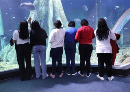 Adolescentes em medida socioeducativa visitam Bioparque Pantanal em ação de ressocialização