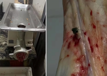 Açougue é interditado e quase 476 kg de carnes são descartados em Campo Grande
