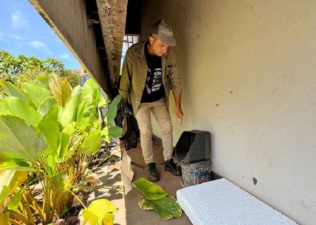 MS confirma quase 10 mil casos de chikungunya e 30 mortes em 2026