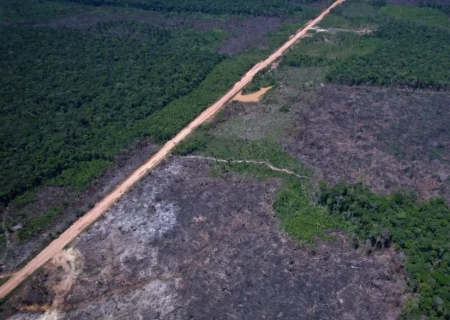 Desmatamento na Amazônia cai 36,87% no último ano
