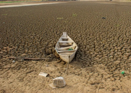 Brasil promete restaurar 163 mil km² de terras degradadas até 2030