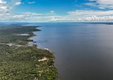 Amazônia abriga mais de 2,7 mil espécies de peixes, aponta estudo