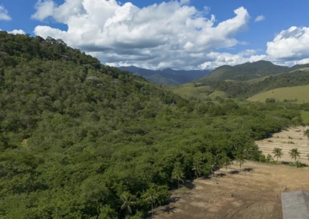 Agricultura ganha 11 milhões de hectares em 41 anos na Mata Atlântica