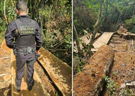 PF, Ibama e Funai combatem desmatamento ilegal em terra indígena de MS