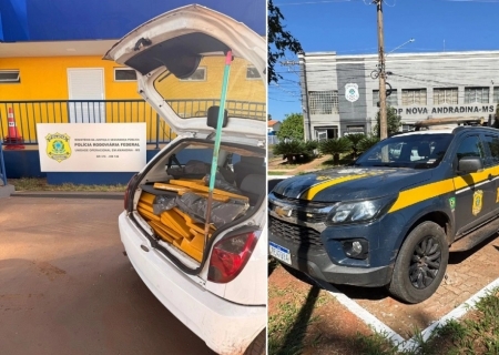 Justiça de Nova Andradina condena homem preso com 168 kg de maconha