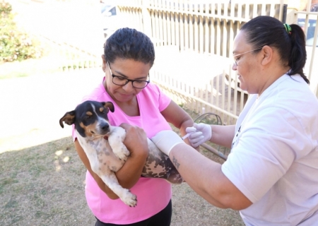 Dia D de Vacinação Antirrábica reforça proteção de cães e gatos neste sábado