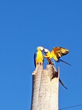 Projeto “Meu Olhar sobre Batayporã” valoriza belezas e identidade do município