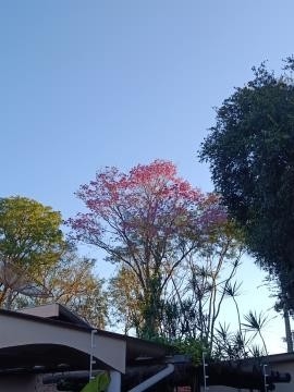 Projeto “Meu Olhar sobre Batayporã” valoriza belezas e identidade do município