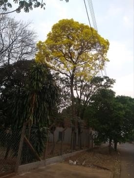 Projeto “Meu Olhar sobre Batayporã” valoriza belezas e identidade do município