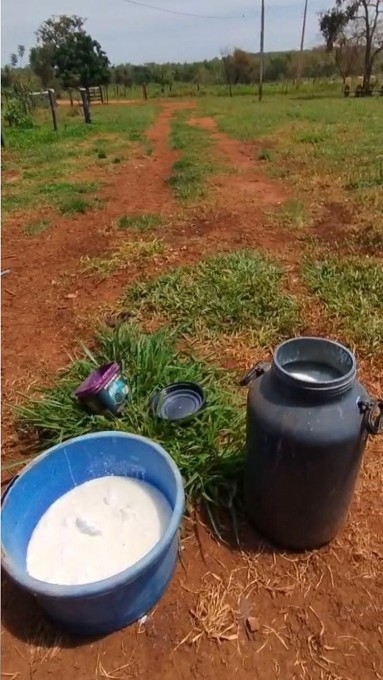 Moradores da Teijin estão há mais de 10 dias sem energia elétrica em Nova Andradina
