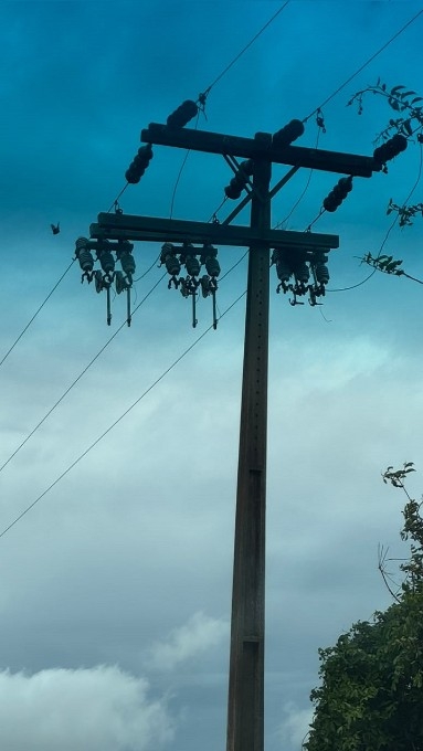 Moradores da Teijin estão há mais de 10 dias sem energia elétrica em Nova Andradina