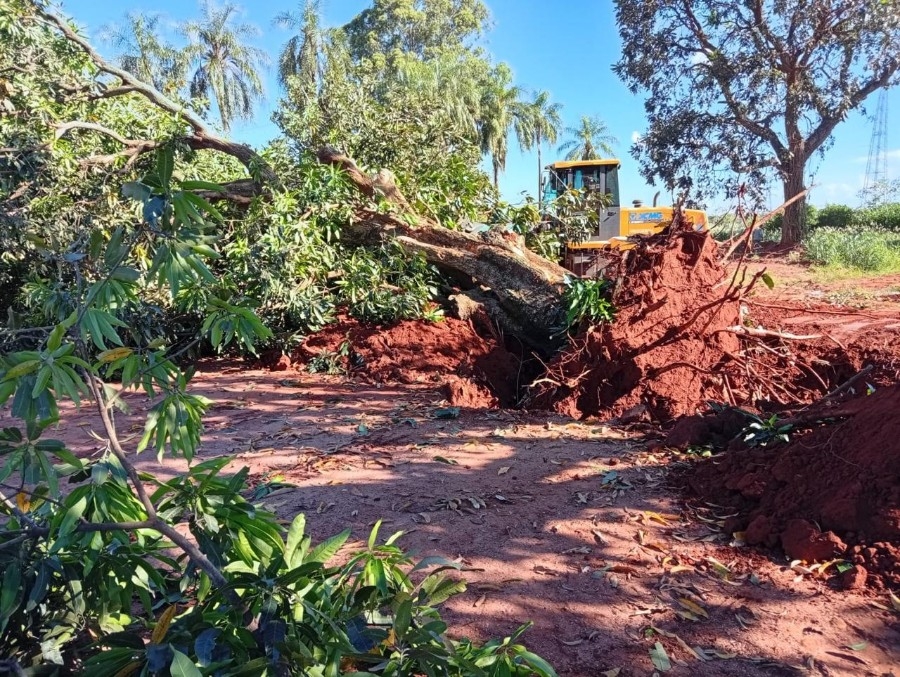 Chuvas intensas superam 205 mm em Nova Andradina e causam estragos no município