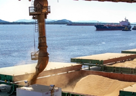 Exportações de MS crescem 12,5% e chegam a US$ 9,21 bilhões em 2026