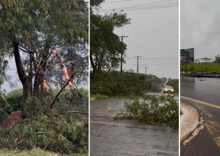 Temporal causa estragos em Nova Andradina e mantém MS sob alerta neste domingo
