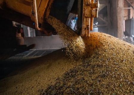 Produção brasileira de grãos deve aumentar apesar do El Niño