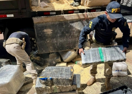 PRF apreende 2,6 toneladas de maconha escondidas em carga de madeira no Paraná