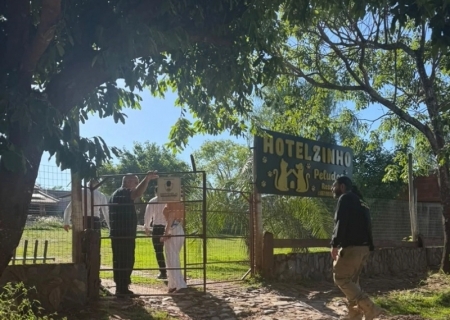 MP investiga hotel para pets após imagens de cachorro sendo agredido em Bonito