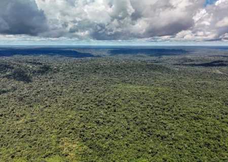 MapBiomas: Amazônia registra menor nível de desmatamento em 41 anos
