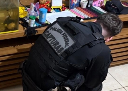 PF mira tráfico internacional de drogas e bloqueia até R$ 139 milhões em bens