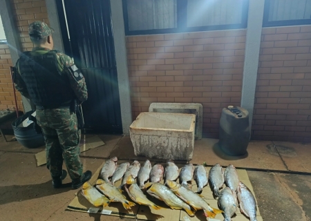 PMA apreende 38 quilos de pescado irregular e aplica R$ 88 mil em multas em Deodápolis