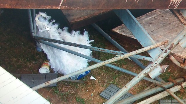 Resto da fantasia de uma das v&iacute;timas - Foto: Jos&eacute; Gilton/TV Sergipe