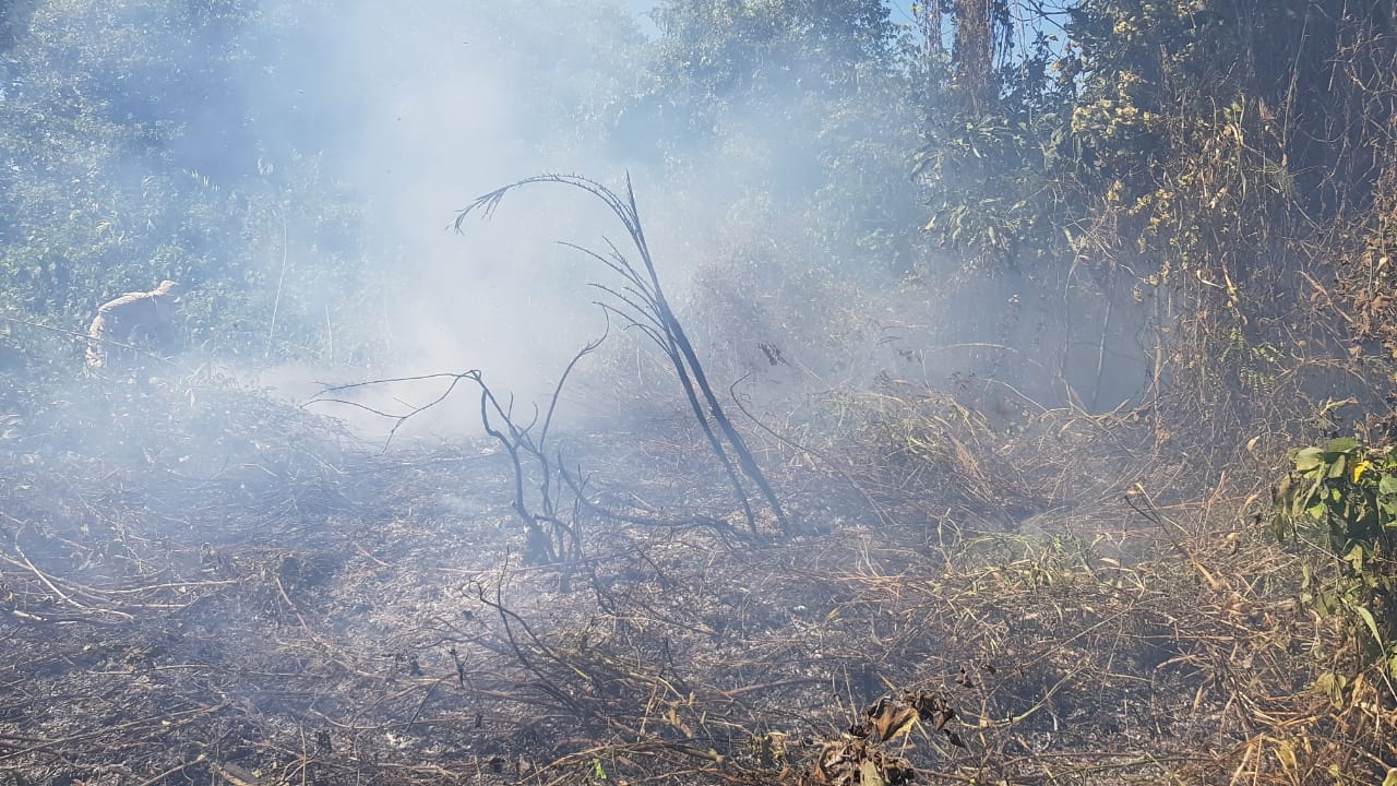 Equipe dos Bombeiros em combate a inc&ecirc;ndio no Pantanal - Foto: Divulga&ccedil;&atilde;o