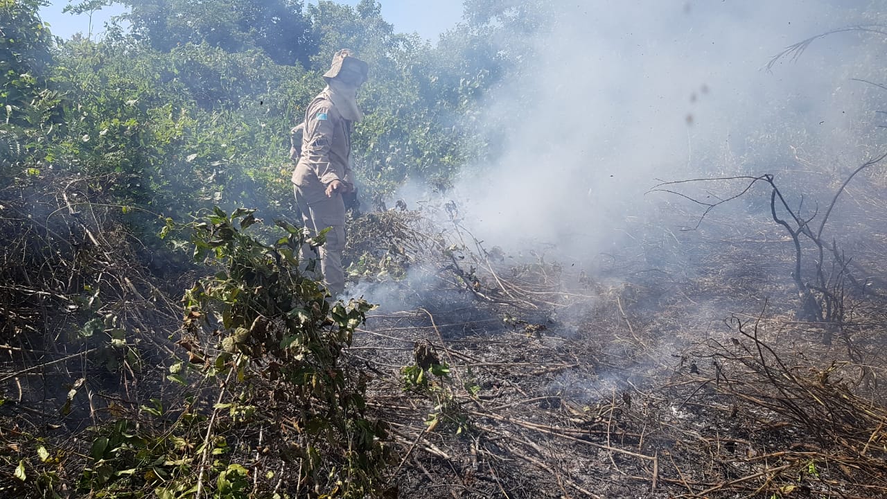 Equipe dos Bombeiros em combate a inc&ecirc;ndio no Pantanal - Foto: Divulga&ccedil;&atilde;o