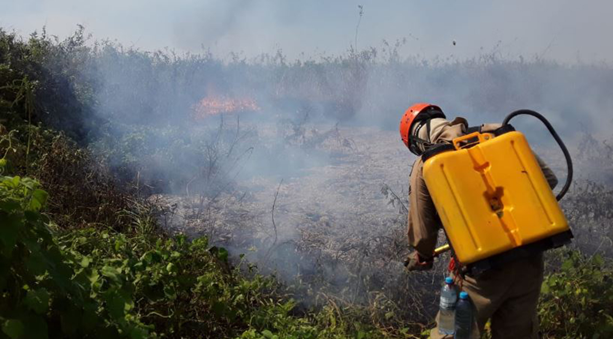 Bombeiros realizam trabalho de rescaldo nas &aacute;reas queimadas, evitando ressurgimento de focos - Foto: Divulga&ccedil;&atilde;o/CBMS