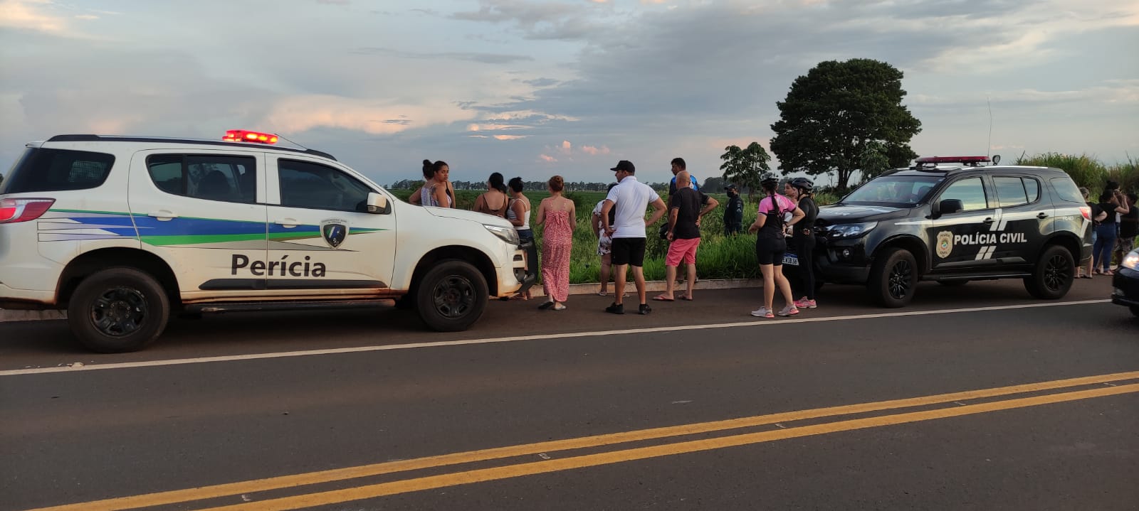 Local onde Marta foi morta e encontrada - Foto: Jornal da Nova